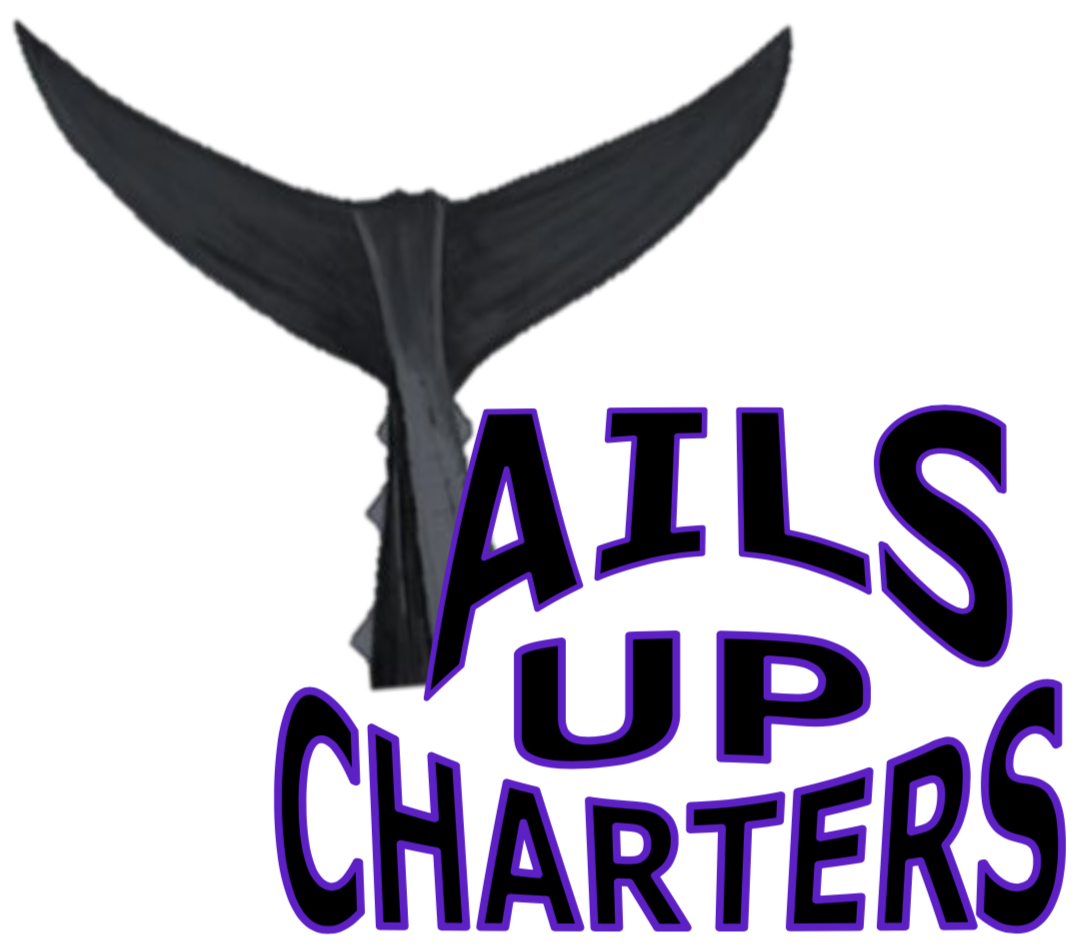 TailsUpCharters.com